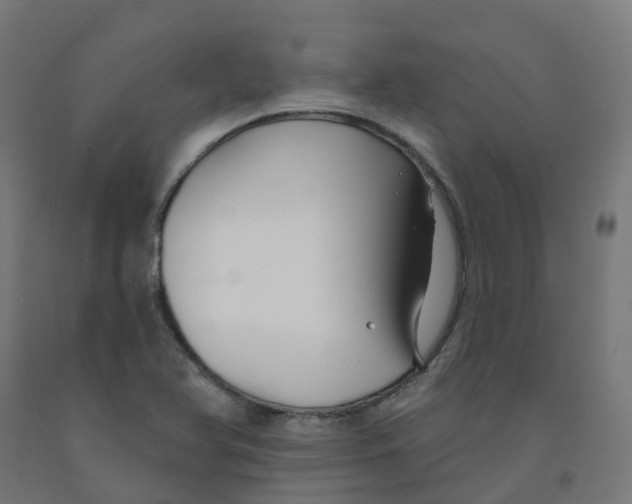 X0000091891366200710031753