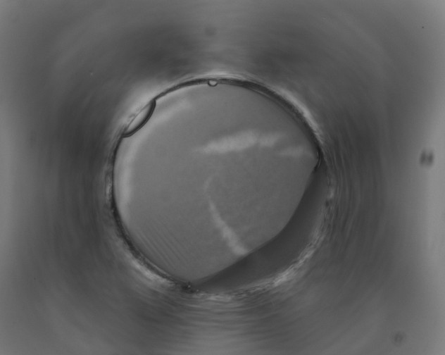 X0000091891367200710031753