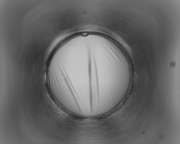 X0000091891368200710031753