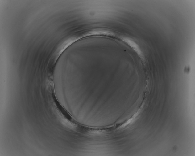 X0000091891369200710031753