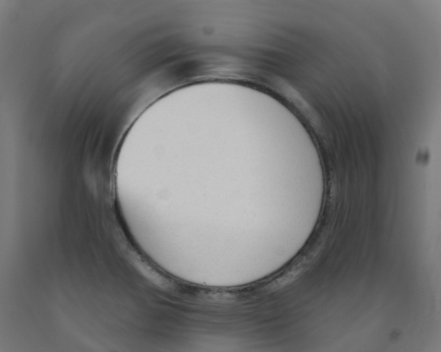 X0000091891370200710031753