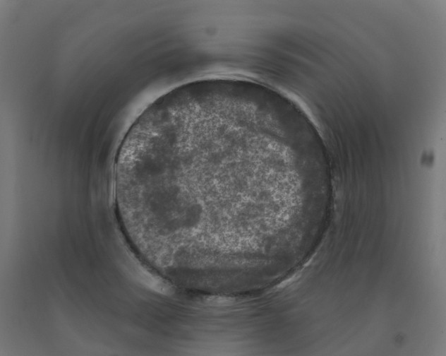 X0000091891371200710031753