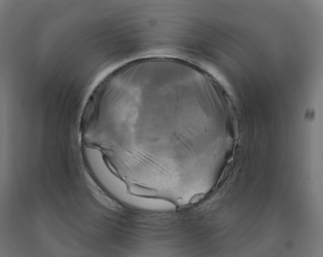 X0000091891372200710031753