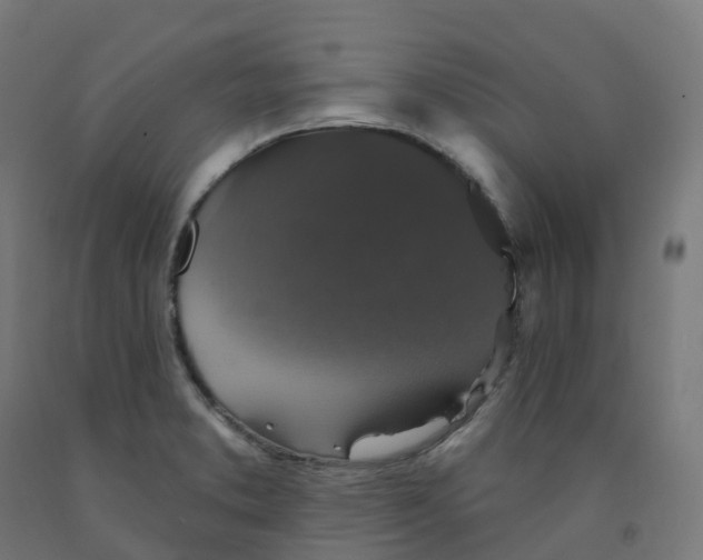 X0000091891373200710031753