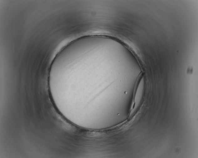 X0000091891374200710031753