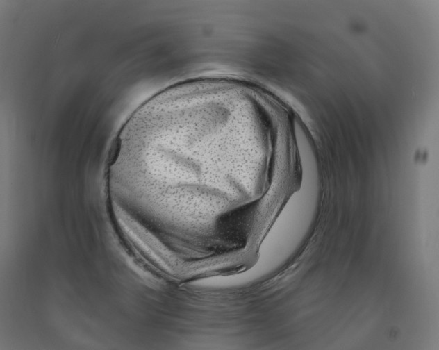 X0000091891375200710031753
