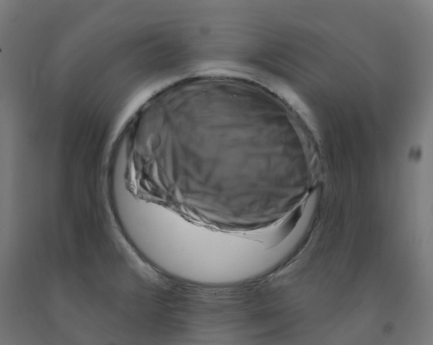 X0000091891376200710031753