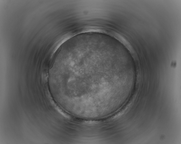 X0000091891377200710031753
