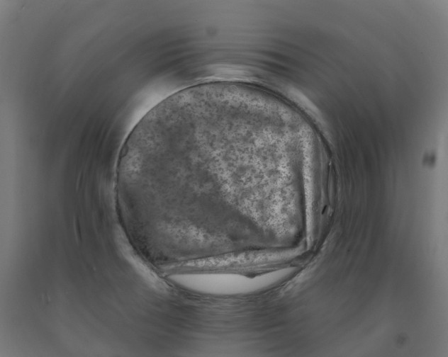 X0000091891378200710031753