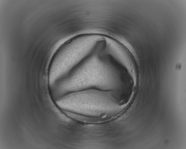 X0000091891380200710031753