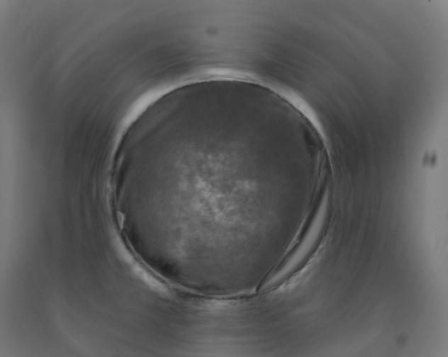X0000091891381200710031753