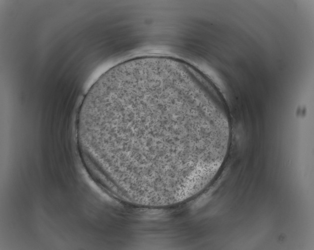 X0000091891382200710031753