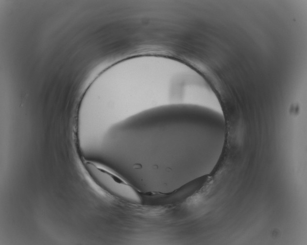 X0000091891383200710031753