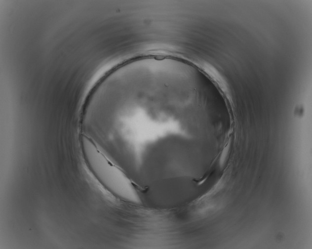 X0000091891384200710031753