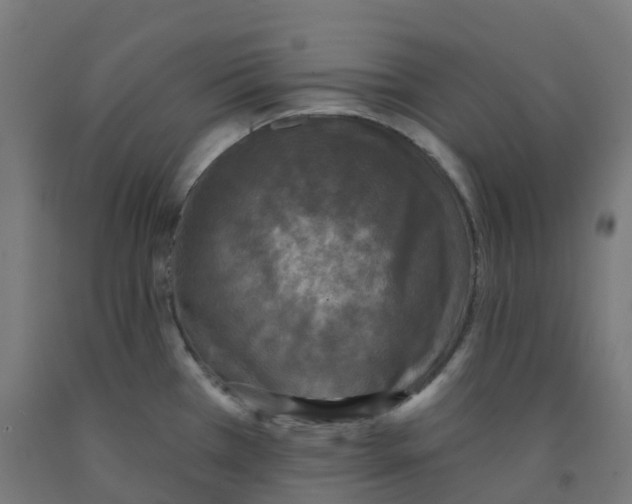 X0000091891385200710031753