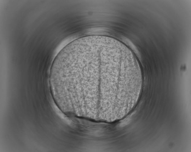 X0000091891386200710031753
