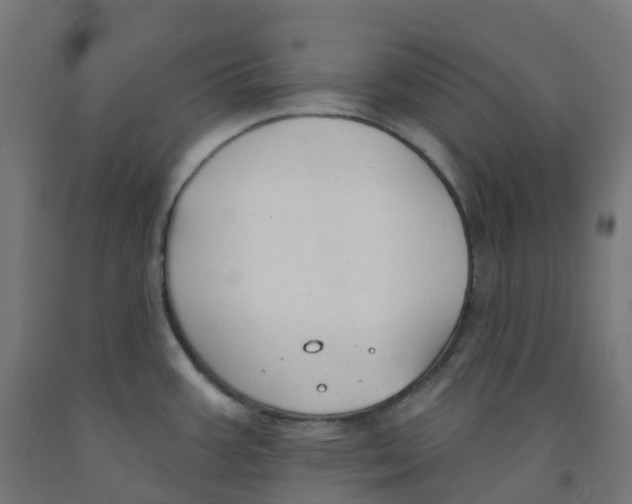 X0000091891387200710031753