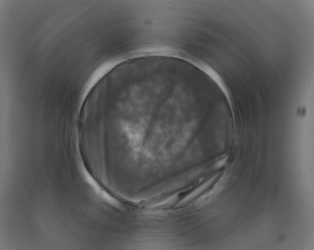 X0000091891389200710031753