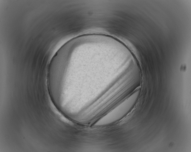 X0000091891390200710031753