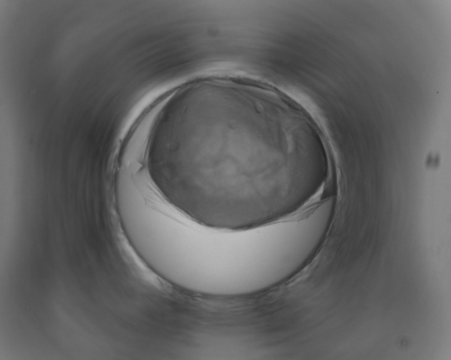 X0000091891392200710031753