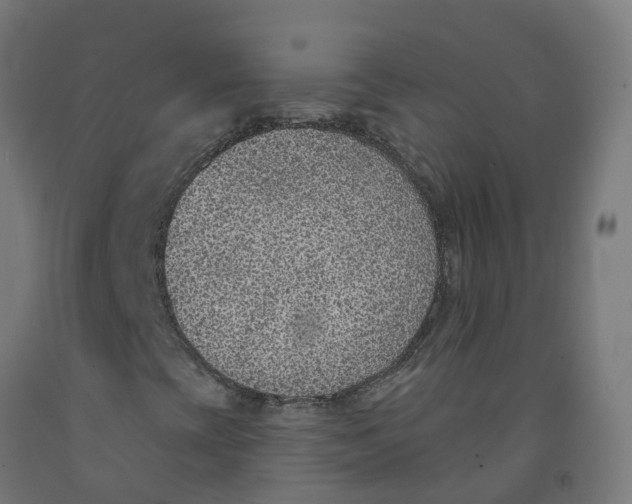 X0000091891393200710031752
