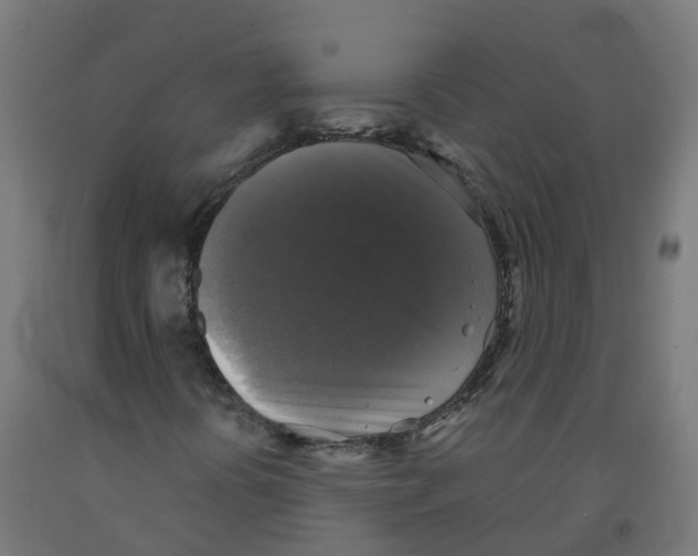 X0000091891394200710031752