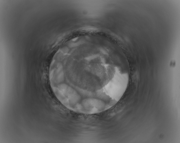 X0000091891397200710031752