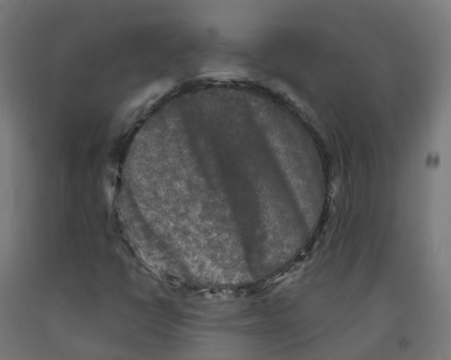 X0000091891398200710031752