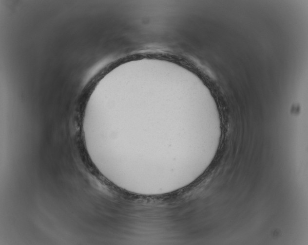 X0000091891400200710031752