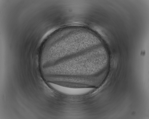 X0000091891402200710031752