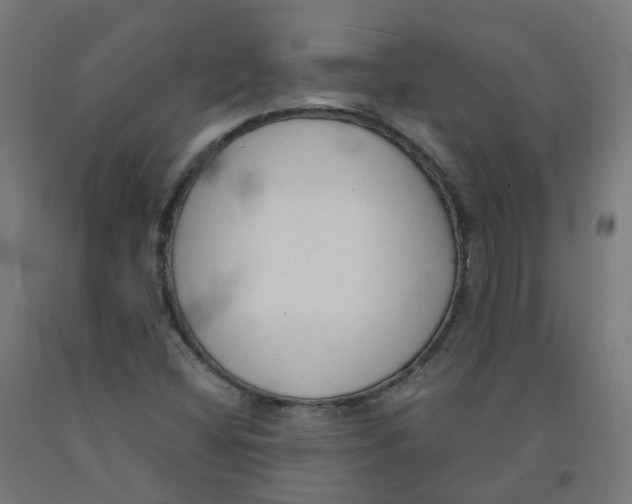 X0000091891404200710031752