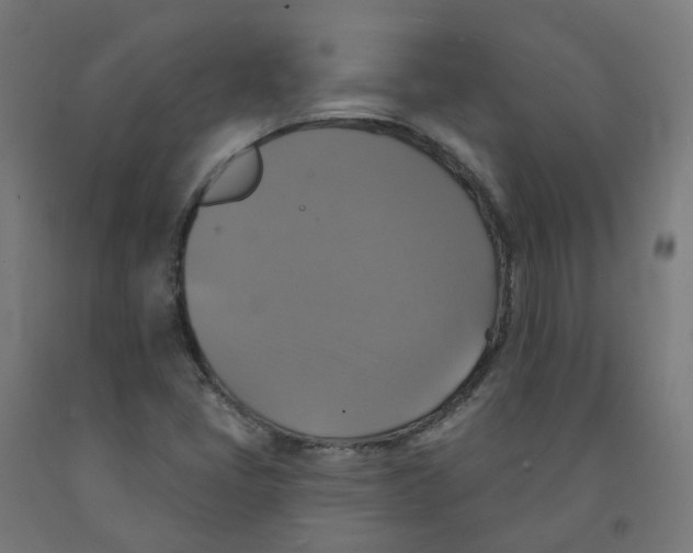 X0000091891405200710031752
