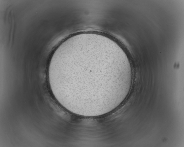 X0000091891407200710031753