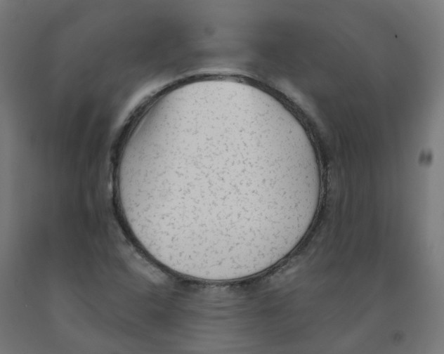 X0000091891408200710031753