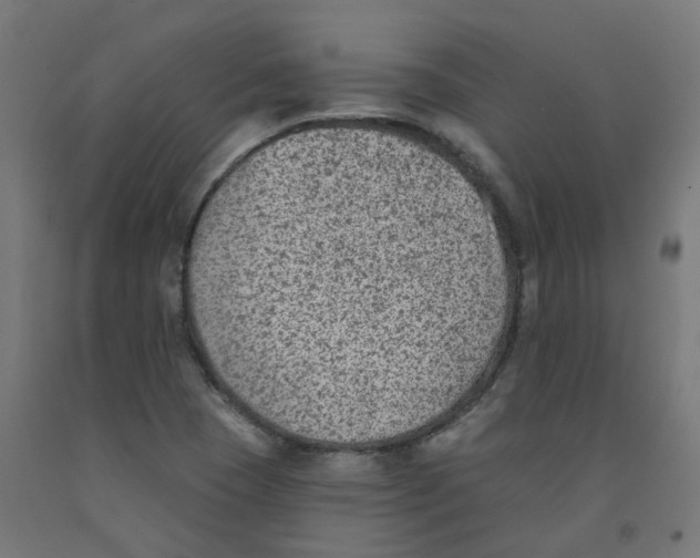 X0000091891409200710031753
