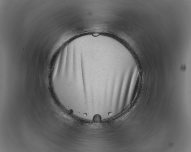 X0000091891410200710031753
