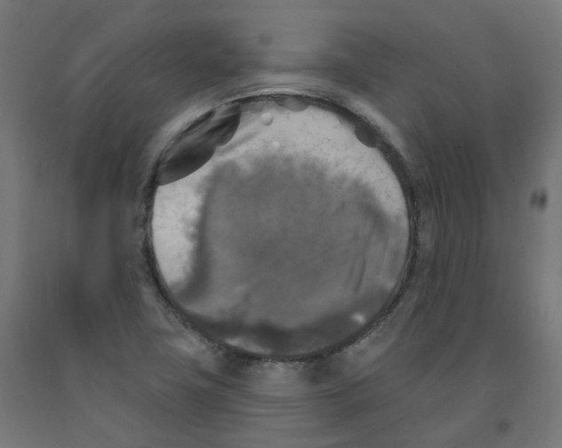 X0000091891411200710031753