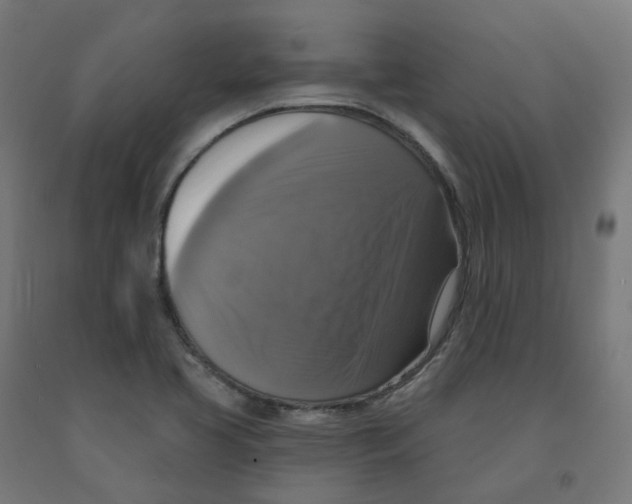 X0000091891413200710031753