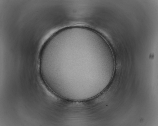 X0000091891414200710031753