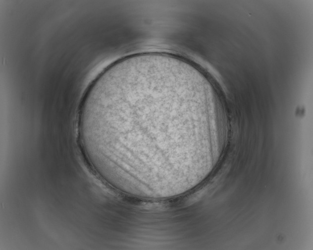 X0000091891415200710031753