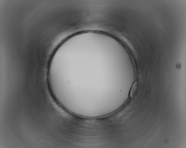 X0000091891416200710031753
