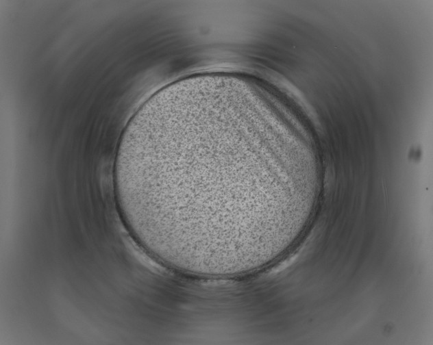 X0000091891417200710031753