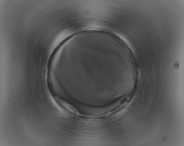 X0000091891418200710031753