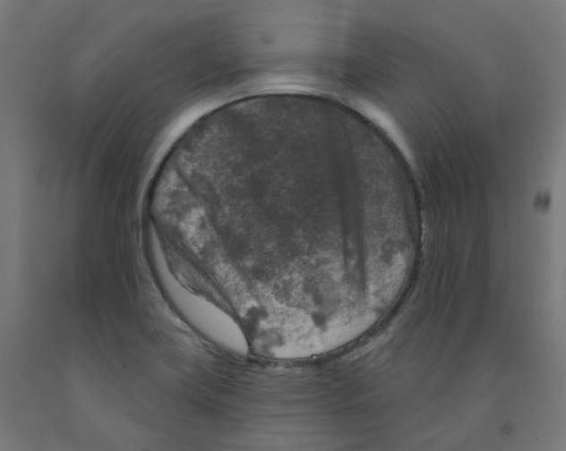 X0000091891419200710031753