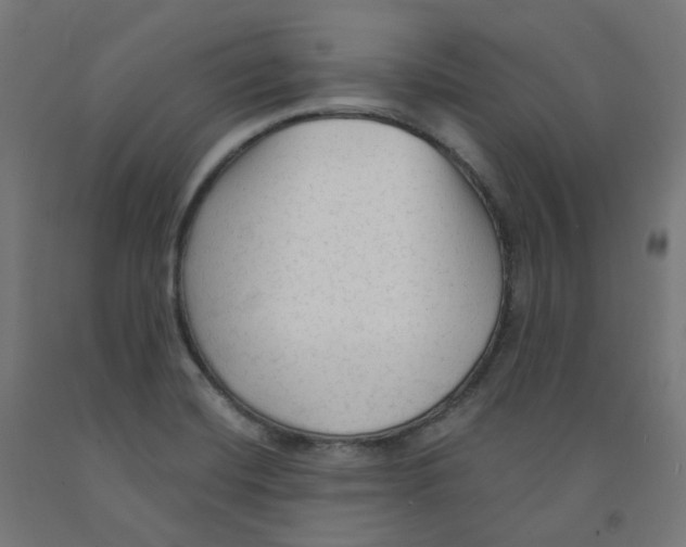 X0000091891420200710031753