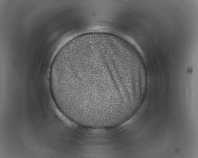 X0000091891421200710031753