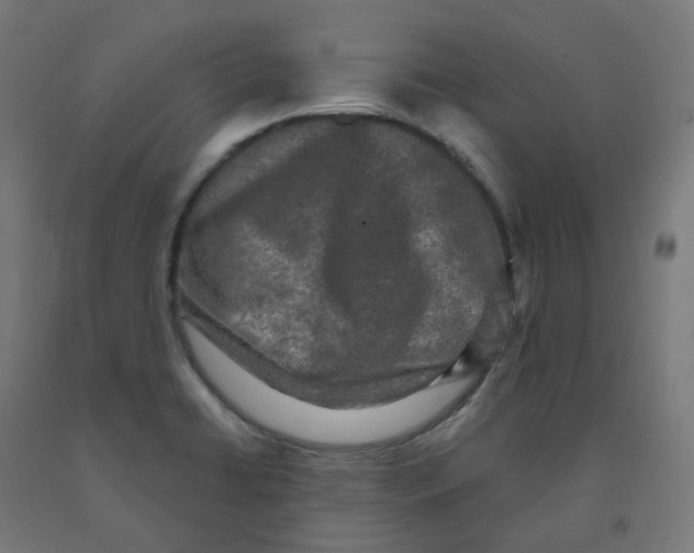 X0000091891422200710031753