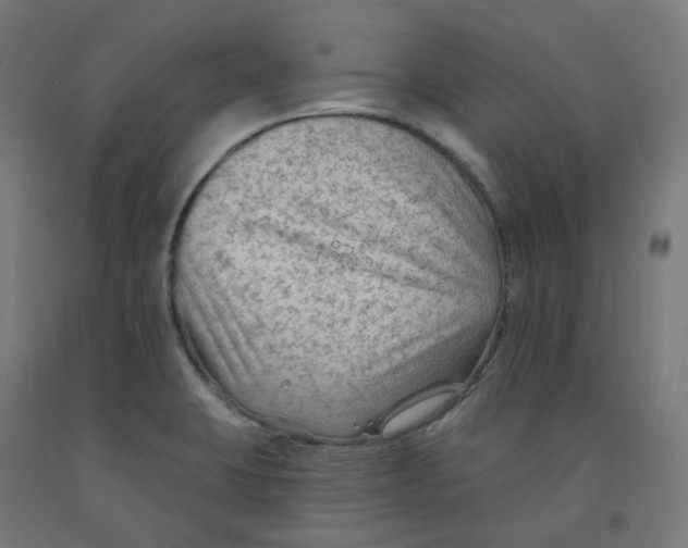 X0000091891423200710031753