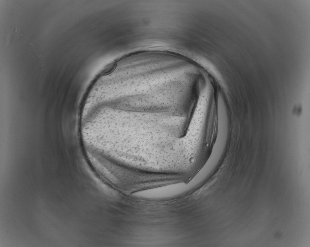 X0000091891424200710031753