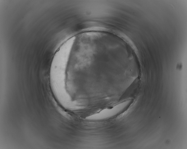 X0000091891425200710031753